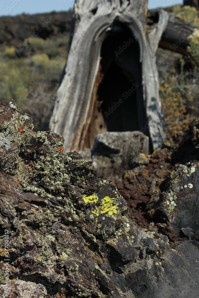 Fototapeta premium Idaho