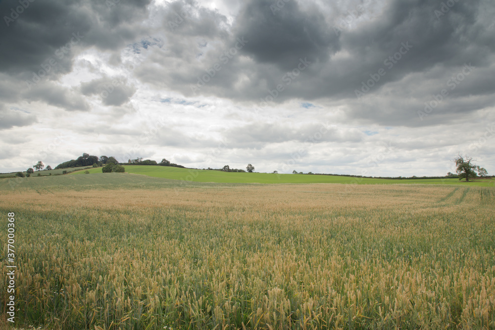 landscape image of tysoe windmill in Warwickshire England