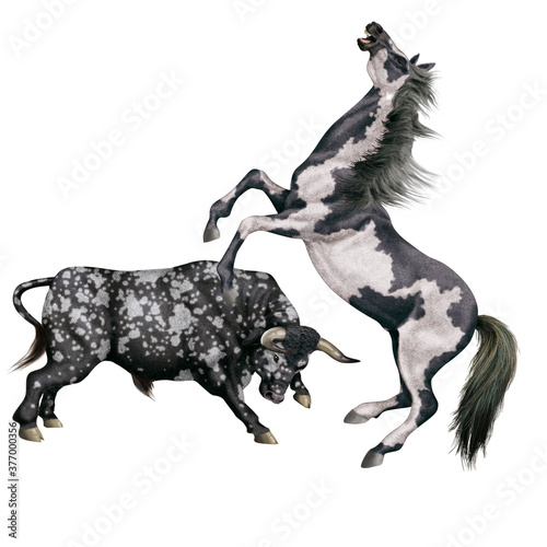 cheval  combat  taureau  tachet    force  dangereux    animal  isol    blanc  noir    talon  mammif  re  ferme  silhouette  illustration  nature  galop  animal de compagnie  sauvage  brun  3-d  arabe   ch