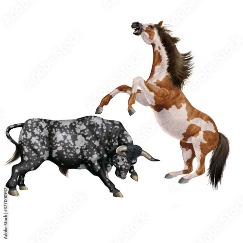 cheval, combat, taureau, tacheté, force, dangereux, animal, isolé, blanc, noir, étalon, mammifère, ferme, silhouette, illustration, nature, galop, animal de compagnie, sauvage, brun, 3-d, arabe, ch