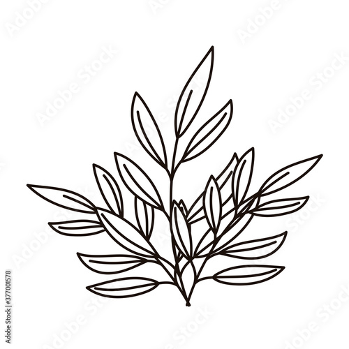 branches foliage leaves decoration nature isolated icon line style © Stockgiu
