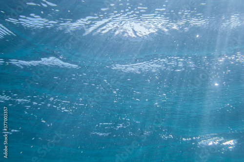 Calm transparent blue background under clear water in the open ocean. © chelmicky