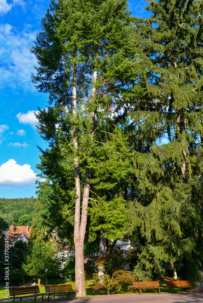 Fototapeta premium Kurpark Bad Orb - Hessen