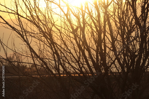 Atardecer en el campo