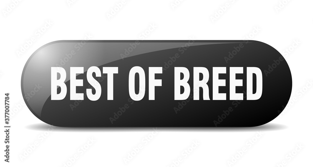 best of breed button. sticker. banner. rounded glass sign best of breed button. sticker. banner. rounded glass sign