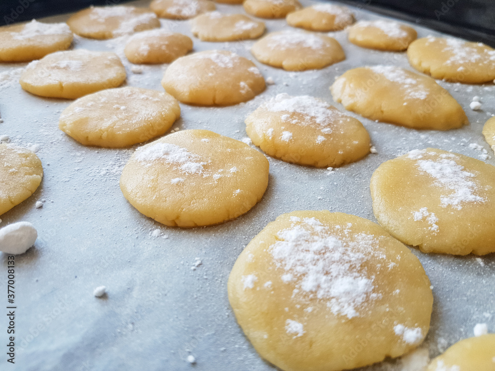 Christmas cookies  with icing sugar on a tray