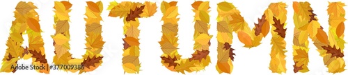 Word Autumn With Colourful Letters Autumnal Leaves