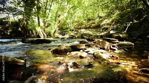 Naturaleza viva, Rios de Galicia