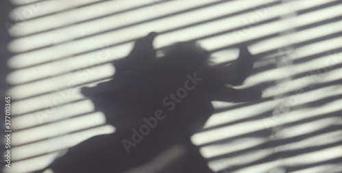 A bull shadow on the wall, symbol of the year 2021.
