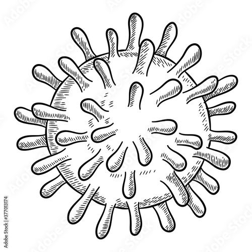 Corona virus bacteria icon. Outline hand drawn corona virus bacteria vector icon for web design isolated on white background