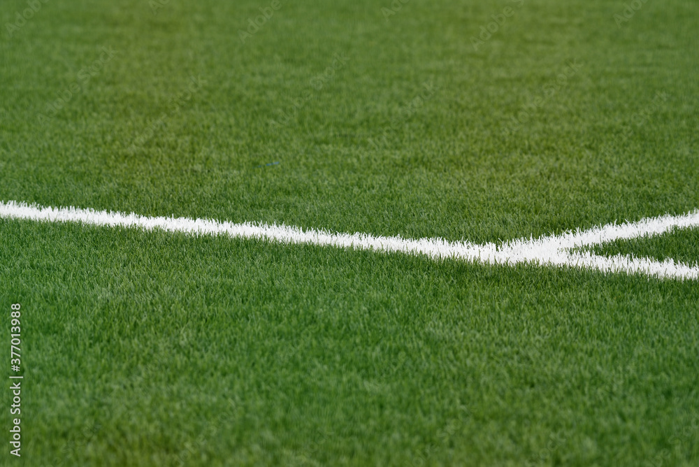 Obraz premium Green football field with nobody