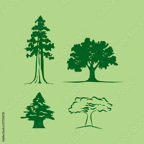Tree silhouette
cedar sequoia, others photo