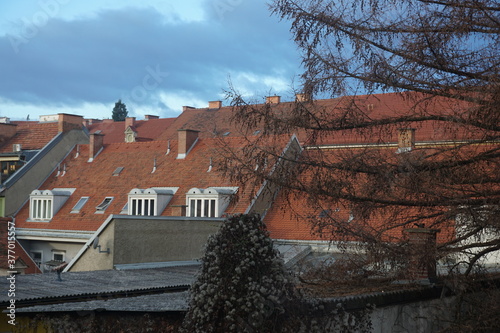 Old town roofs