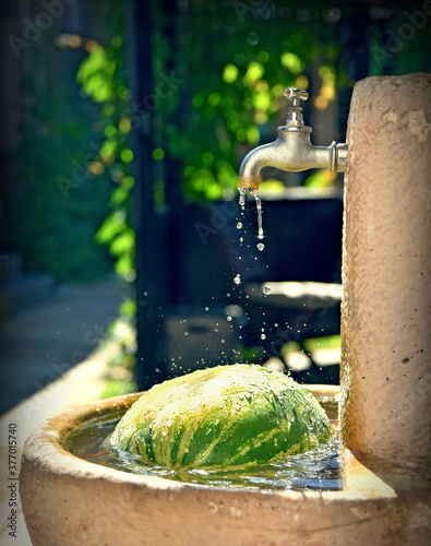 watermelon