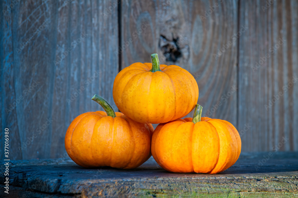 3 gourds on a wooden bench