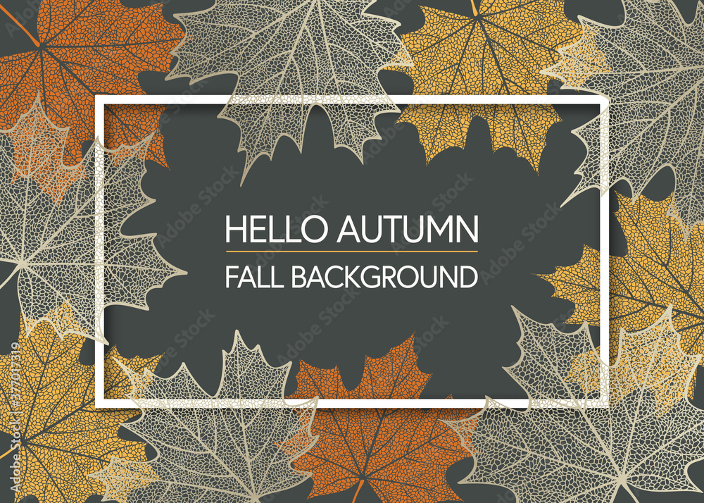 Autumn background with skeleton maple leaves. Frame made of fall leaves. Vector illustration