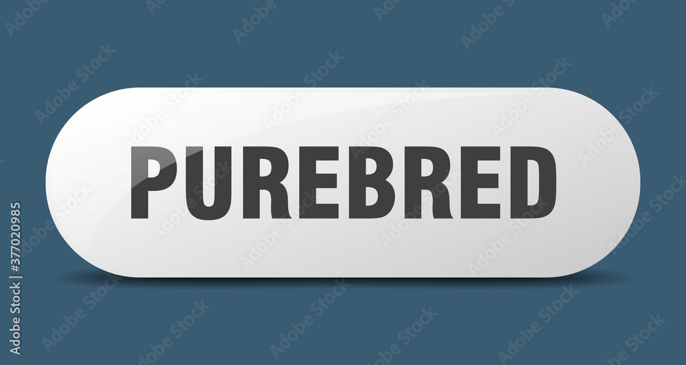 purebred button. sticker. banner. rounded glass sign