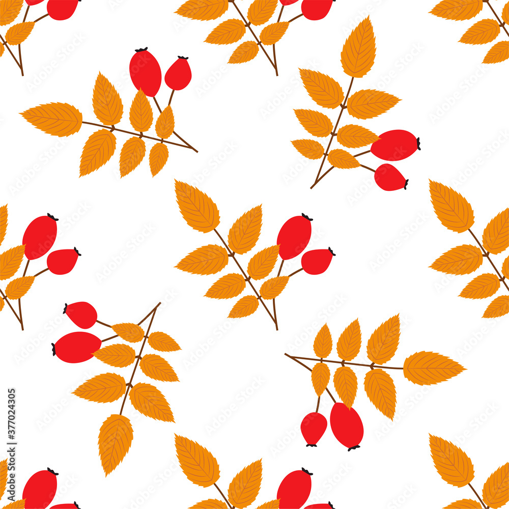 Obraz premium Rose hip. Autumn seamless patterns. 