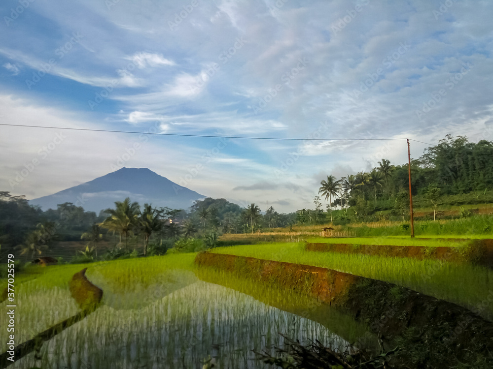 landscape with rice fields and mountain in indonesia landscape with rice fields and mountain in indonesia