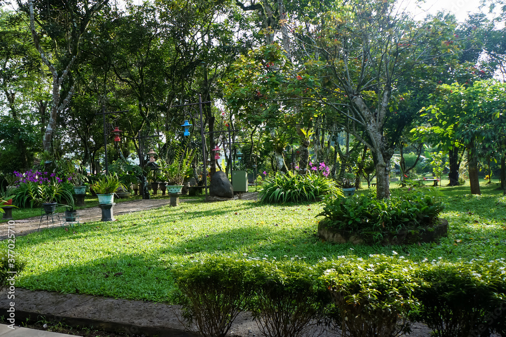 Obraz premium park in the park