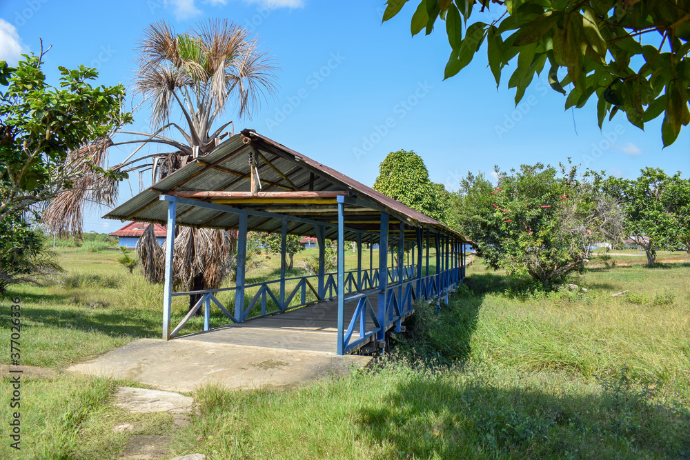 hut in the jungle hut in the jungle