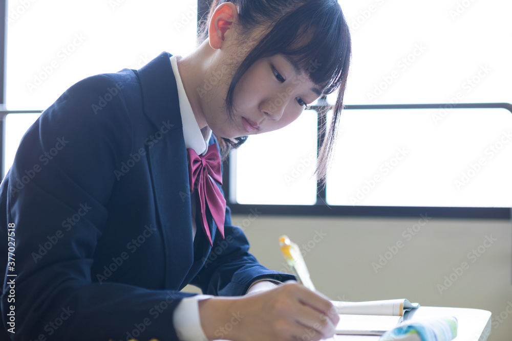 勉強する女子高生 勉強する女子高生