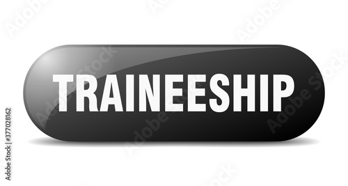traineeship button. sticker. banner. rounded glass sign