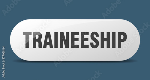 traineeship button. sticker. banner. rounded glass sign