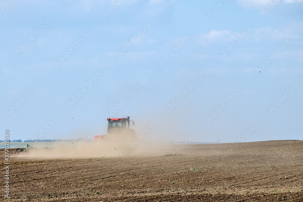 Fototapeta premium A red farm tractor in a cloud of dust cultivates the soil in the field with a cultivator after harvest. Summer sunny day. Fertile land. Modern agricultural machinery. Copy space. High quality photo