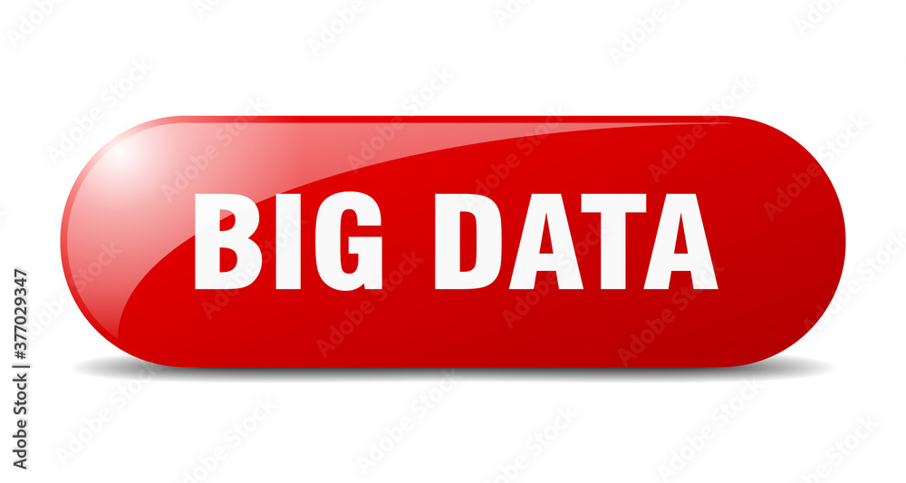 big data button. sticker. banner. rounded glass sign big data button. sticker. banner. rounded glass sign