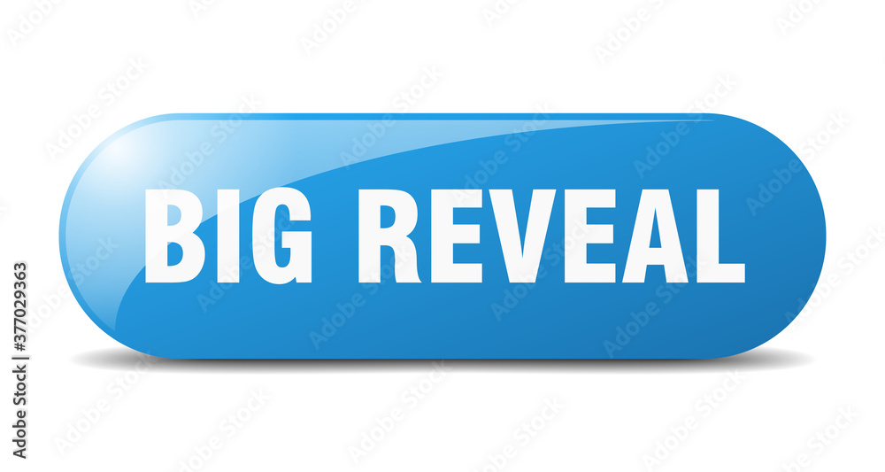 big reveal button. sticker. banner. rounded glass sign big reveal button. sticker. banner. rounded glass sign
