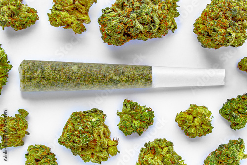 A Pre-Roll Cannabis joint on a white surface with Several cannabis flowers around. photo