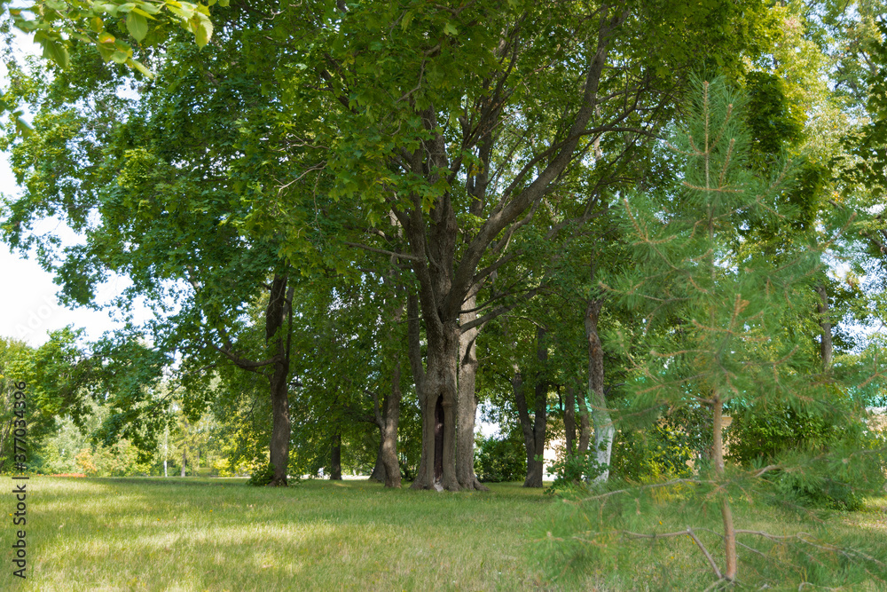 Obraz premium Landscape photos taken in the state Lermontov Museum-reserve Tarkhany