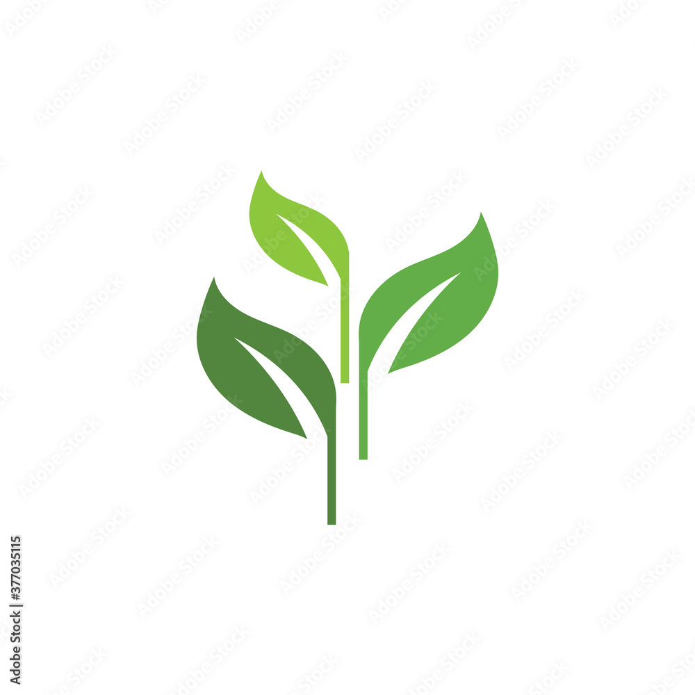 Green garden green leaf Logo Template