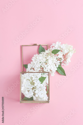 white hydrangea flowers in a glass cube on a pink background. simple flat lay composition, vertical frame