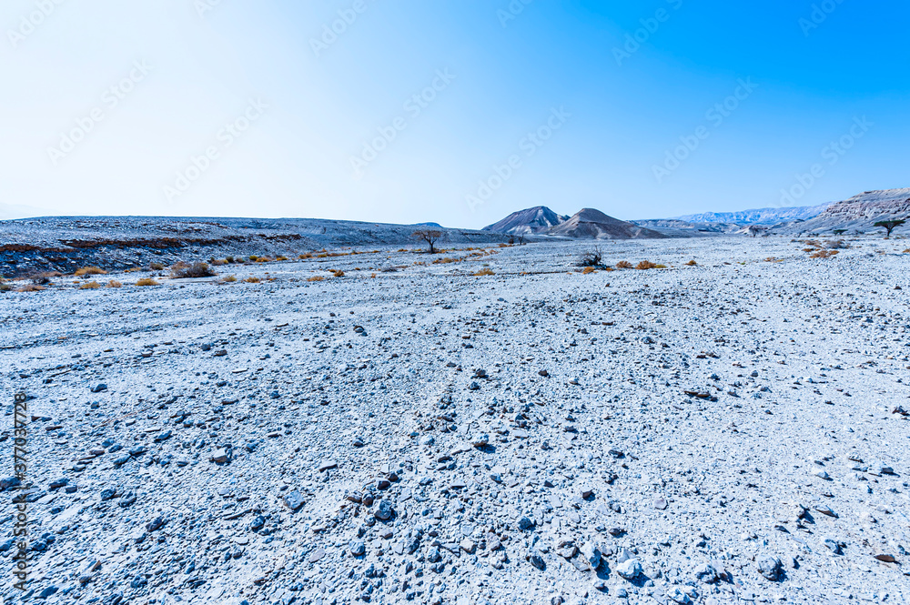 Loneliness and hopelessness of the desert Loneliness and hopelessness of the desert