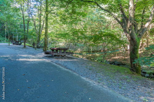 Wooden picnic tables on side of hiking trail.