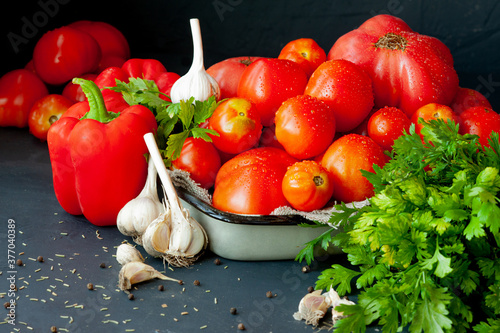fresh vegetables for making sauce, ripe red tomatoes, bunch of green parsley, red pepper, garlic and spices on dark background