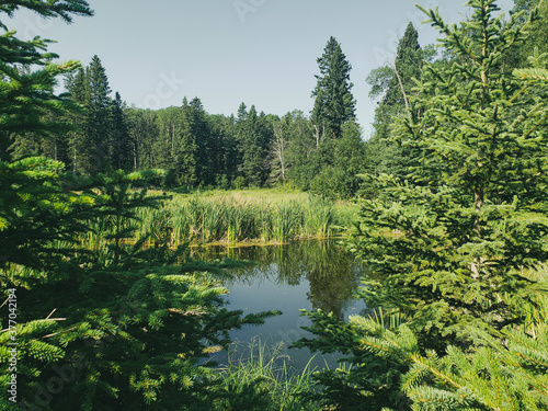 View of the back pond behind Hickey Lake on the Hickey Lake Hiking trail in Duck Mountain Provincial Park, Manitoba, Canada