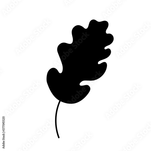 Oak leave graphic icon.Silhouette of an oak leaf isolated on a white background. vector illustration