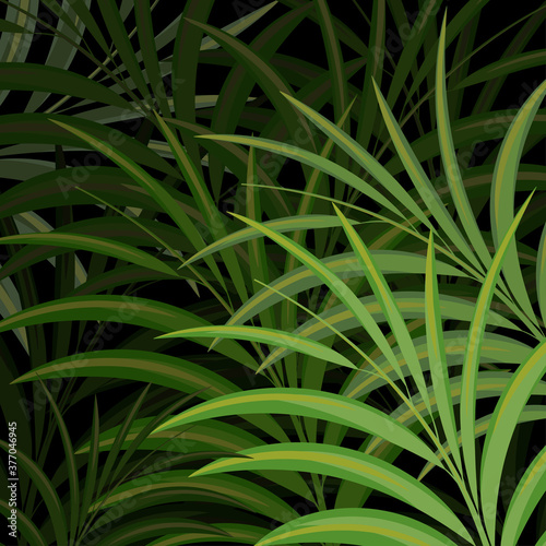 Green leaf in dark scene vector nature wallpaper background