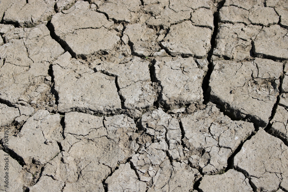 dry land with cracks, drought, background, texture dry land with cracks, drought, background, texture