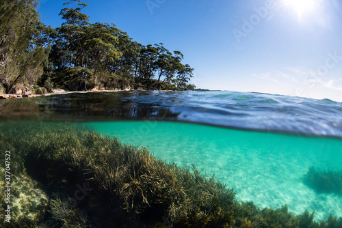 Underwater paradise, Jervis Bay, Australia © Gary