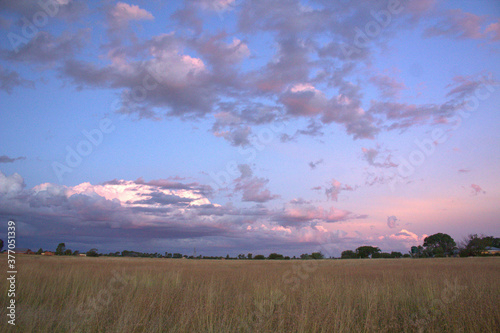 Evening in the fields - a rural landscape under colorful evening sky