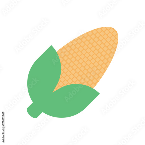corn