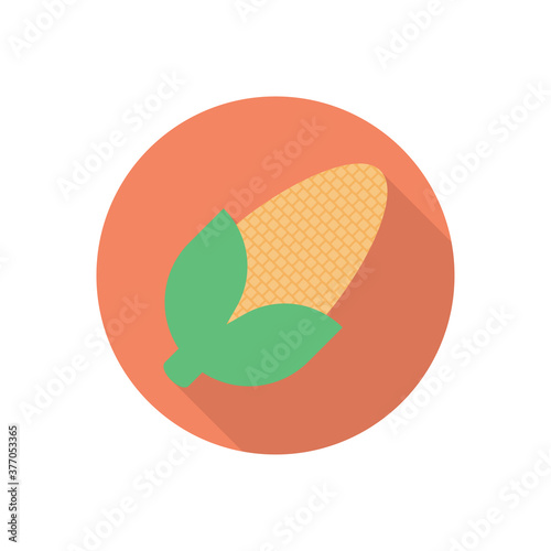 corn