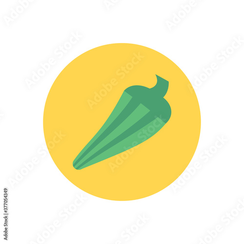 vegetable