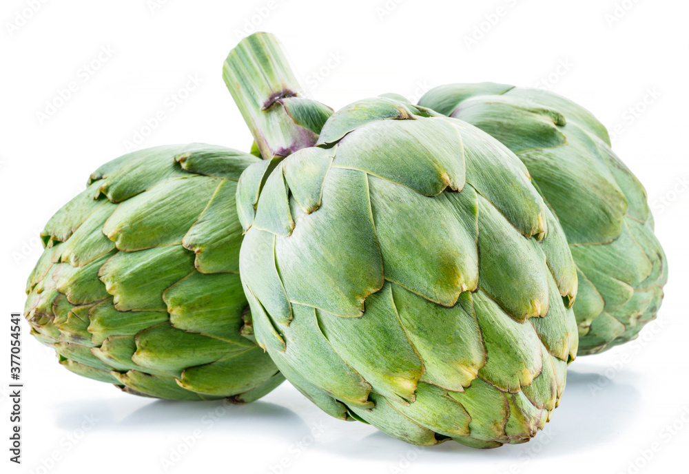 Obraz premium Artichoke flower edible buds isolated on white background.