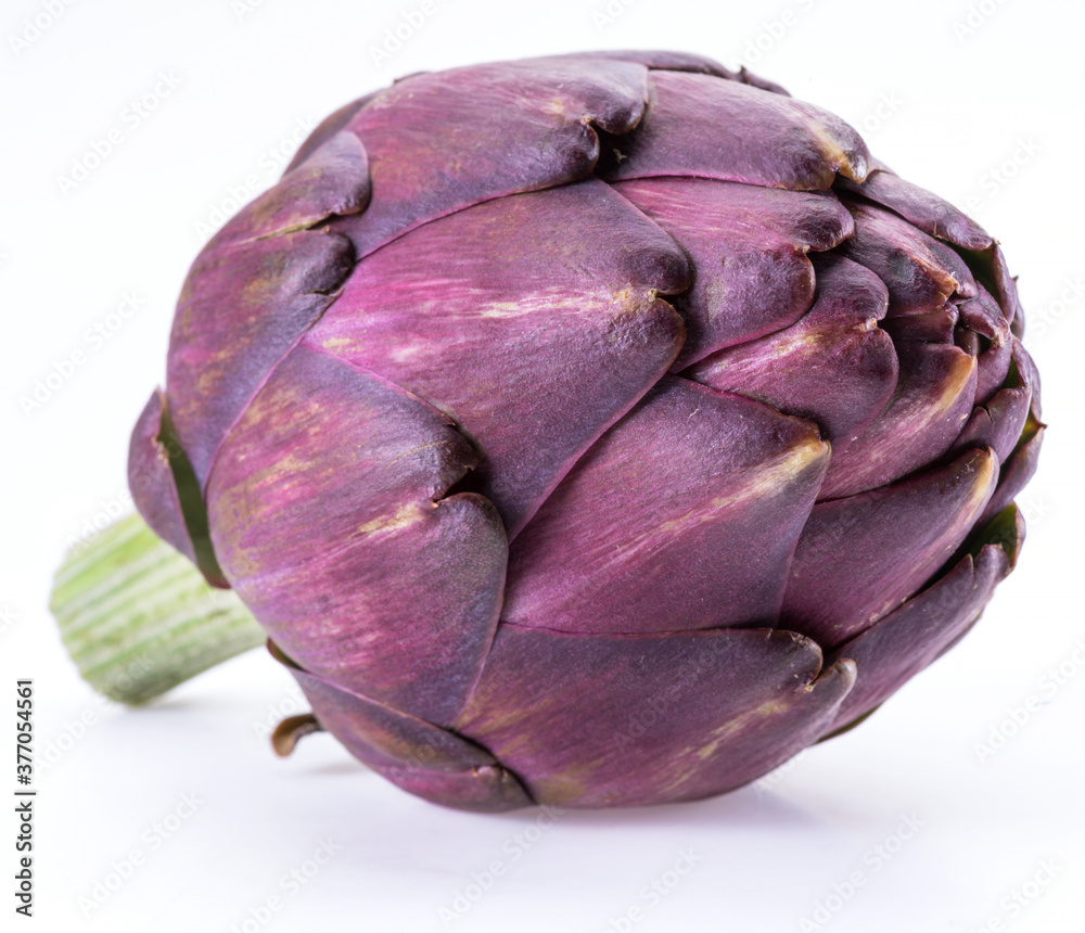 Obraz premium Artichoke flower, purple edible bud isolated on white background.