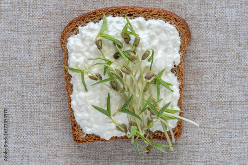Homemade sandwich with cream cheese and mung bean sprouts on cotton fabric background.